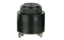 Buzzer ca/cc 220v non-polaire 60-250vca/cc type a visser (SV15)